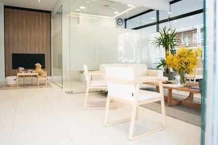 PATERNINA • Estudio Dental