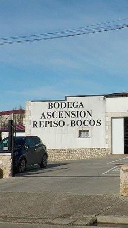 Bodega Ascensión Repiso Bocos