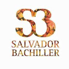 Salvador Bachiller - Calle Alcala