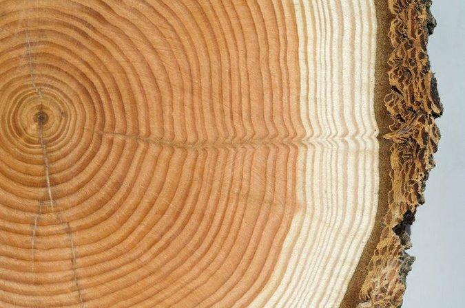 Concienciarte psicoterapia humanista integrativa