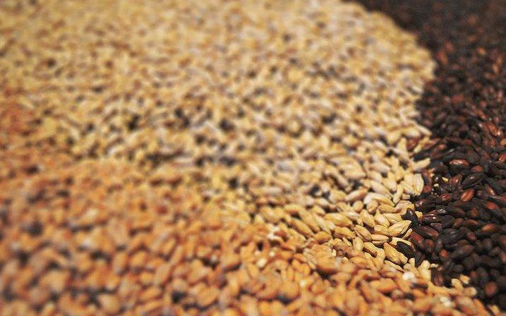 Fábrica de Cerveza Bailandera