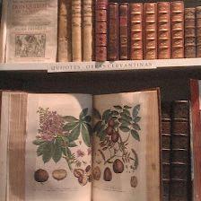 Guillermo Blazquez Old Books