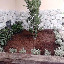 Paisaterra Jardinería Podas y Tepes