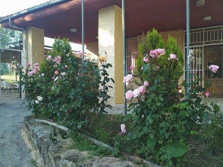 Camping Sierra Pela