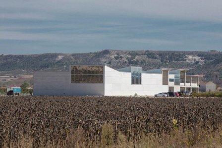 DOMINIO LUBIANO - Ribera del Duero