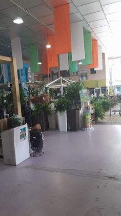 Brico Garden Toledo