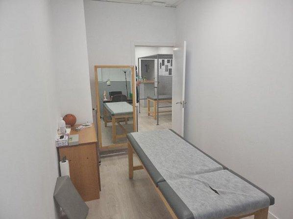 CLÍNICA ALCORCÓN. Accidentes de Tráfico. Centro Médico. Fisioterapia a domicilio en Alcorcón - Fisiocasa