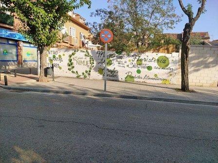 El Jardín de Nimue
