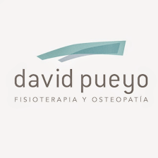 Clínica de fisioterapia y osteopatia David Pueyo