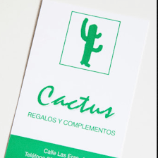 Cactus Regalos Y Complementos