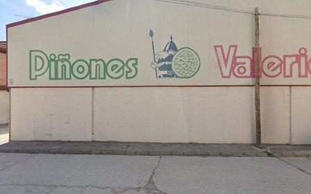 Piñones Valerico