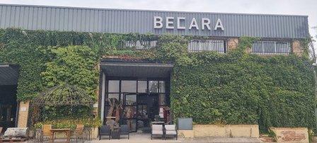Becara - Saldillo