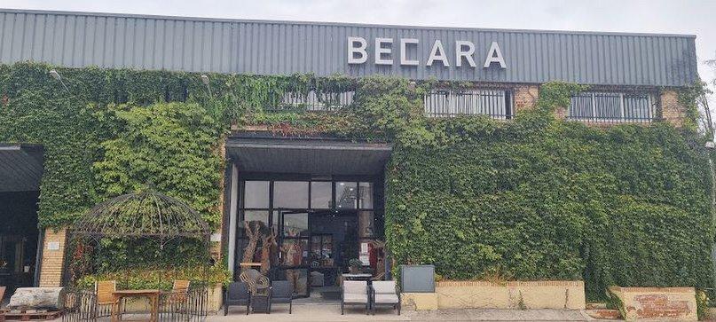 Becara - Saldillo