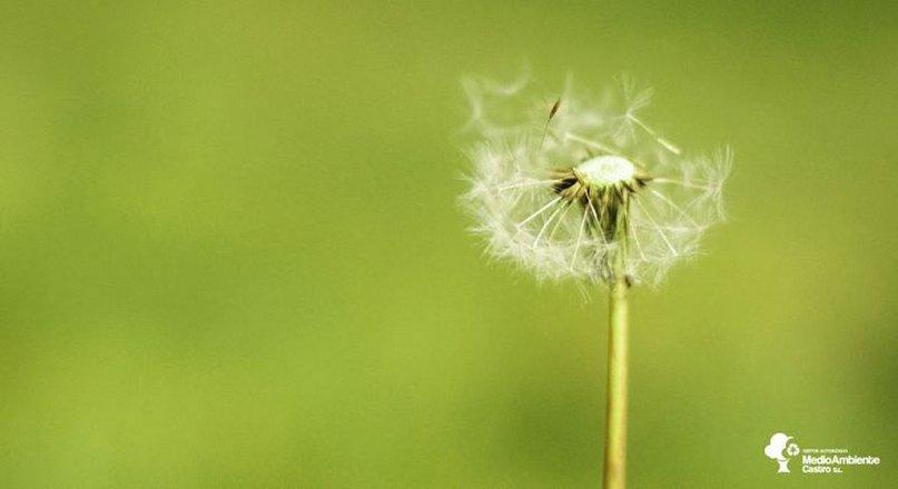Medio Ambiente Castro Gestor de Residuos Peligrosos especializado en Tintorerías y Lavanderías