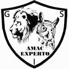 Amac Experto Gsi
