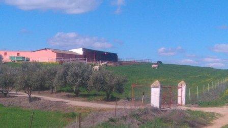 Finca la Dehesilla