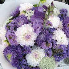 Flores Tere