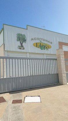 Aceitunas Elovi