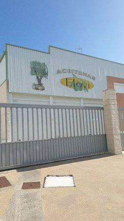 Aceitunas Elovi