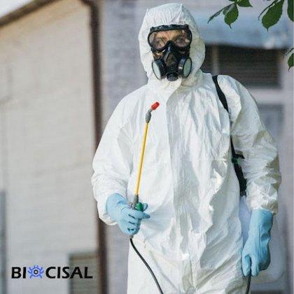 Exterminio de Chinches Biocisal