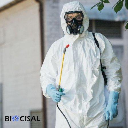 Exterminio de Chinches Biocisal