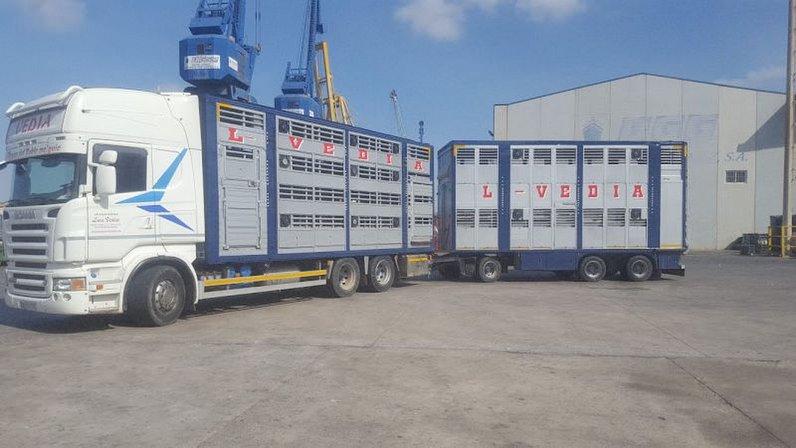 Transportes Luis Vedia