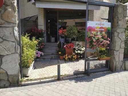 Floristería La Ermita de Pozuelo
