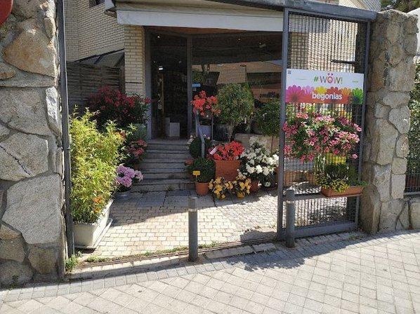 Floristería La Ermita de Pozuelo