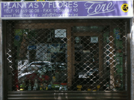 Flores Tere