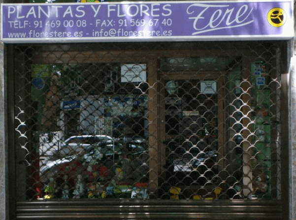 Flores Tere