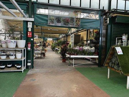 Garden Center Martín Madrigal
