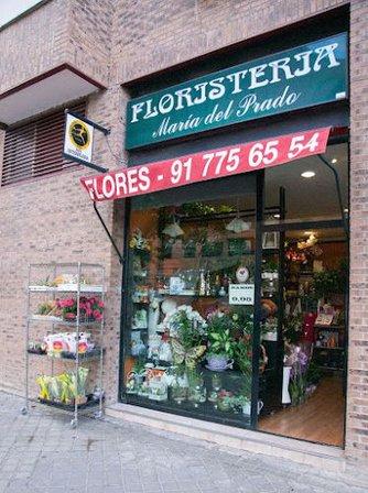 Flores María del Prado