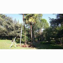 Nelson Servicios De Jardinería