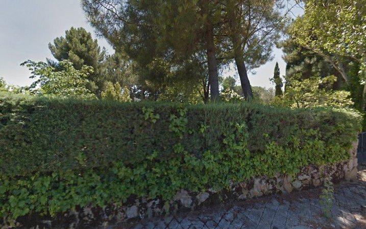 Entrepinos