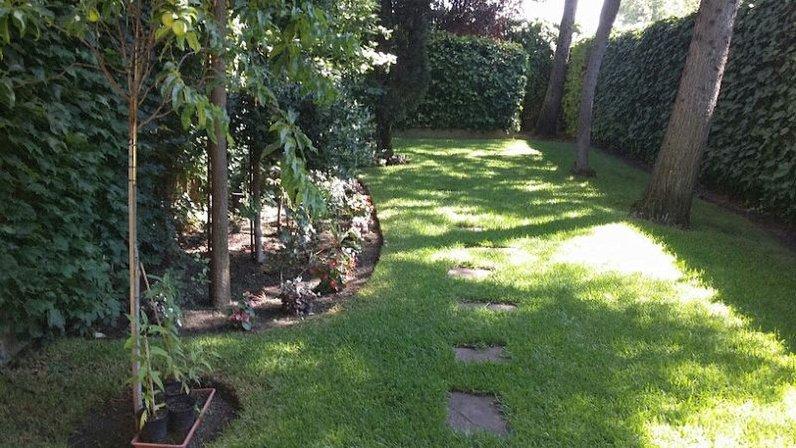 Nelson Servicios De Jardinería