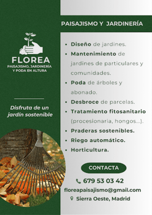 Florea Paisajismo y Jardinería
