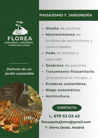 Florea Paisajismo y Jardinería