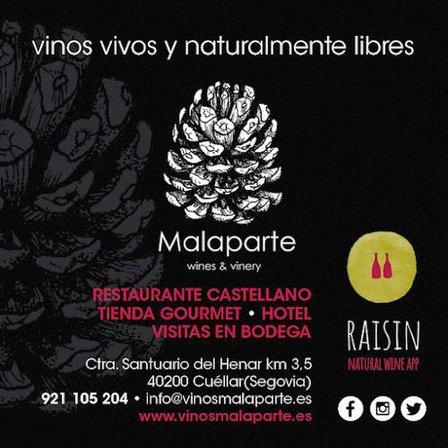 vinos malaparte (TIENDA EL ESTUDIO)