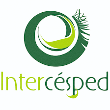 Intercésped Césped Artificial