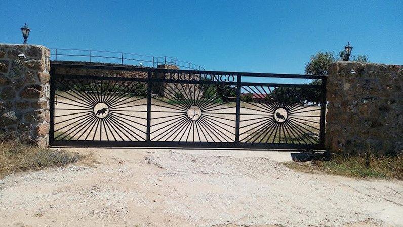 Finca Cerro Longo