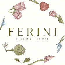 Ferini (Taller)