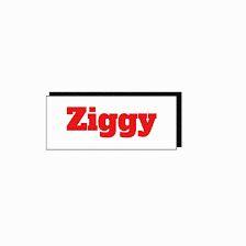 Discos Ziggy