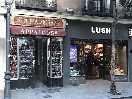 Appaloosa