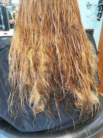 La Casa Del Pelo