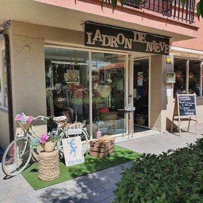 Ladrón de Nieve