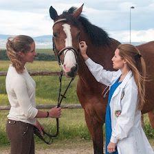 Veterinary Hospital