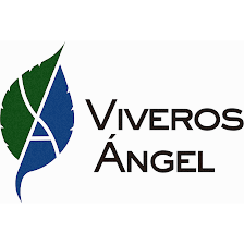 Viveros Ángel