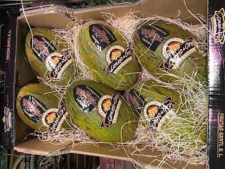 FRUTAS SANTI, S.L. - El Conejo de Oro