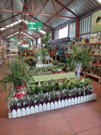 Vivero Morajardín S.L.