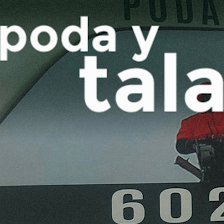 Poda y Tala